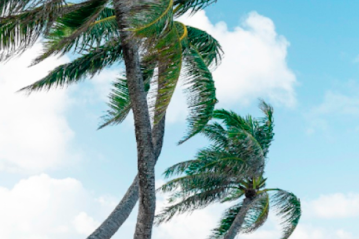  Frente Frío Núm. 40 traerá vientos fuerte