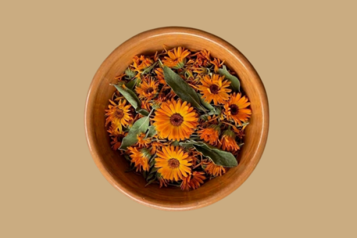 La caléndula y sus propiedades curativas en 