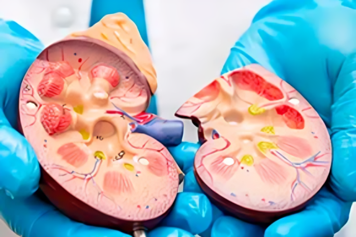 UNAM y Cenatra se unen para detectar riesgos 