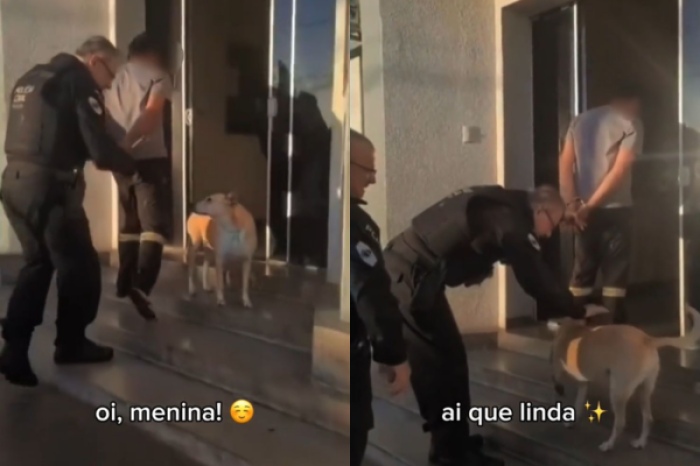 Policía interrumpe el traslado de un preso para acariciar a un perita 