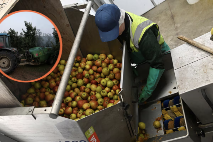 Detectan residuos de varios pesticidas en la 