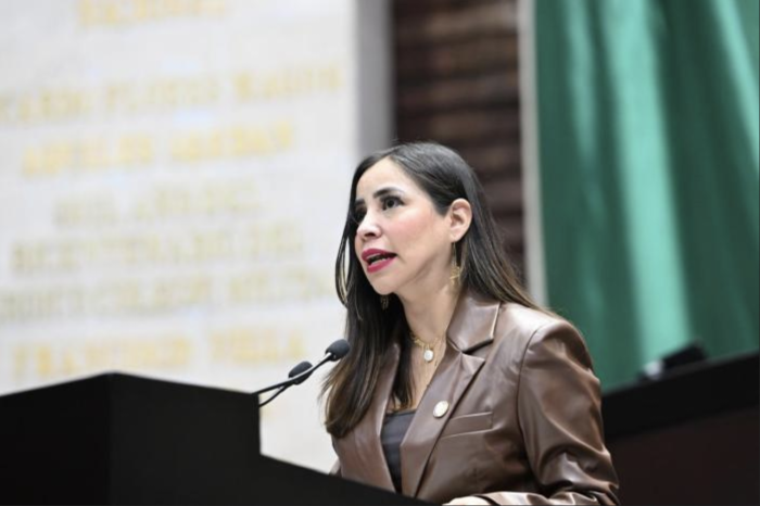 Diputada Lilia Olivares plantea permisos labo