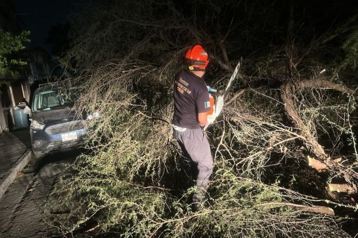 Atiende Protección Civil de Guadalupe afectaciones por vientos
